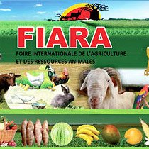 FIARA 2014 - Dakar, Senegal FIARA 2014 - Dakar, Senegal