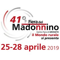 Fiera del Madonnino 2019 - Braccagni (GR) Fiera del Madonnino 2019 - Braccagni (GR)