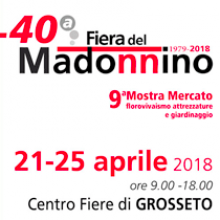 Fiera del Madonnino 2018 - Braccagni (GR)