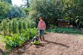 Grillo PX32 è la motozappa ideale per il proprio orto e giardino