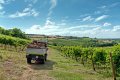 I robusti pneumatici del Grillo PK1400 4WD con battistrada misto tractor / stradale sono confortevoli e funzionali, l'ideale per affrontare percorsi misti strada / fuoristrada